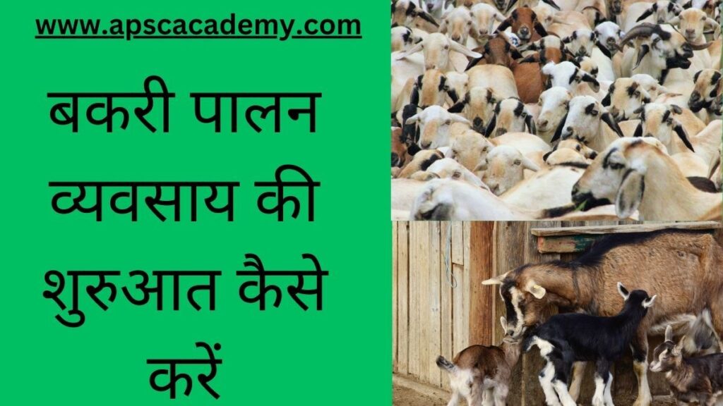 Goat Farm Business kaise shuru kare?