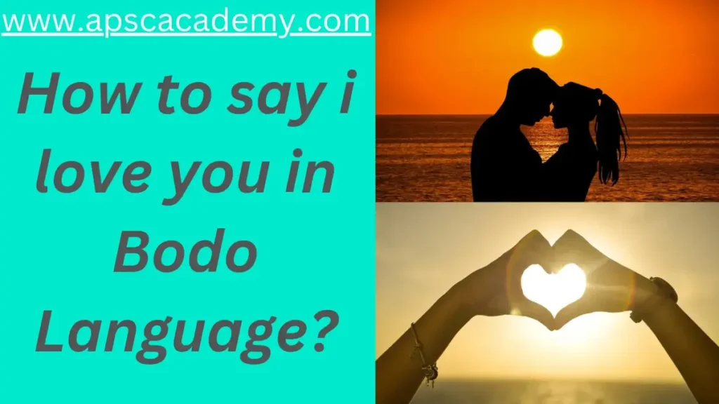 How to say i love you in Bodo Language?