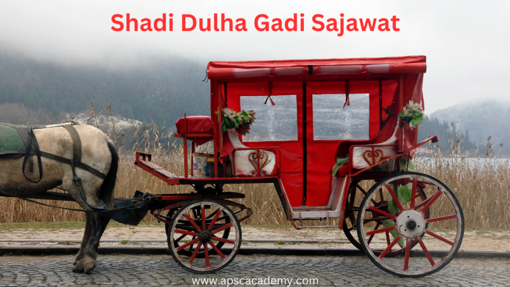 Shadi Dulha Gadi Sajawat